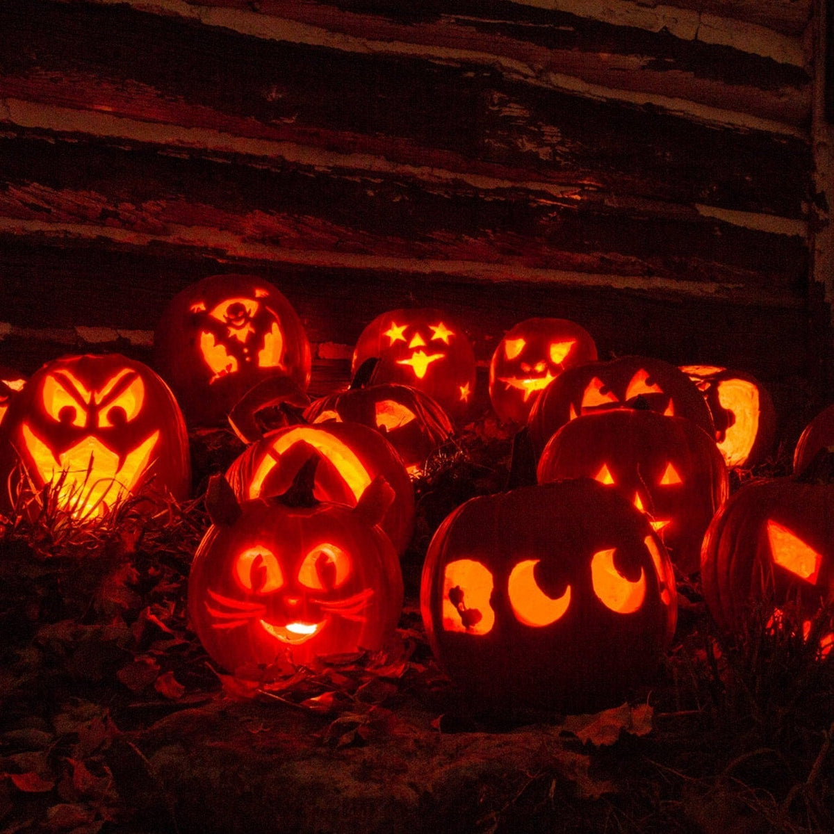 Kids' Halloween Pumpkin Carving Kit and Tools with Stainless Steel Saws and Sculpting for Supplies