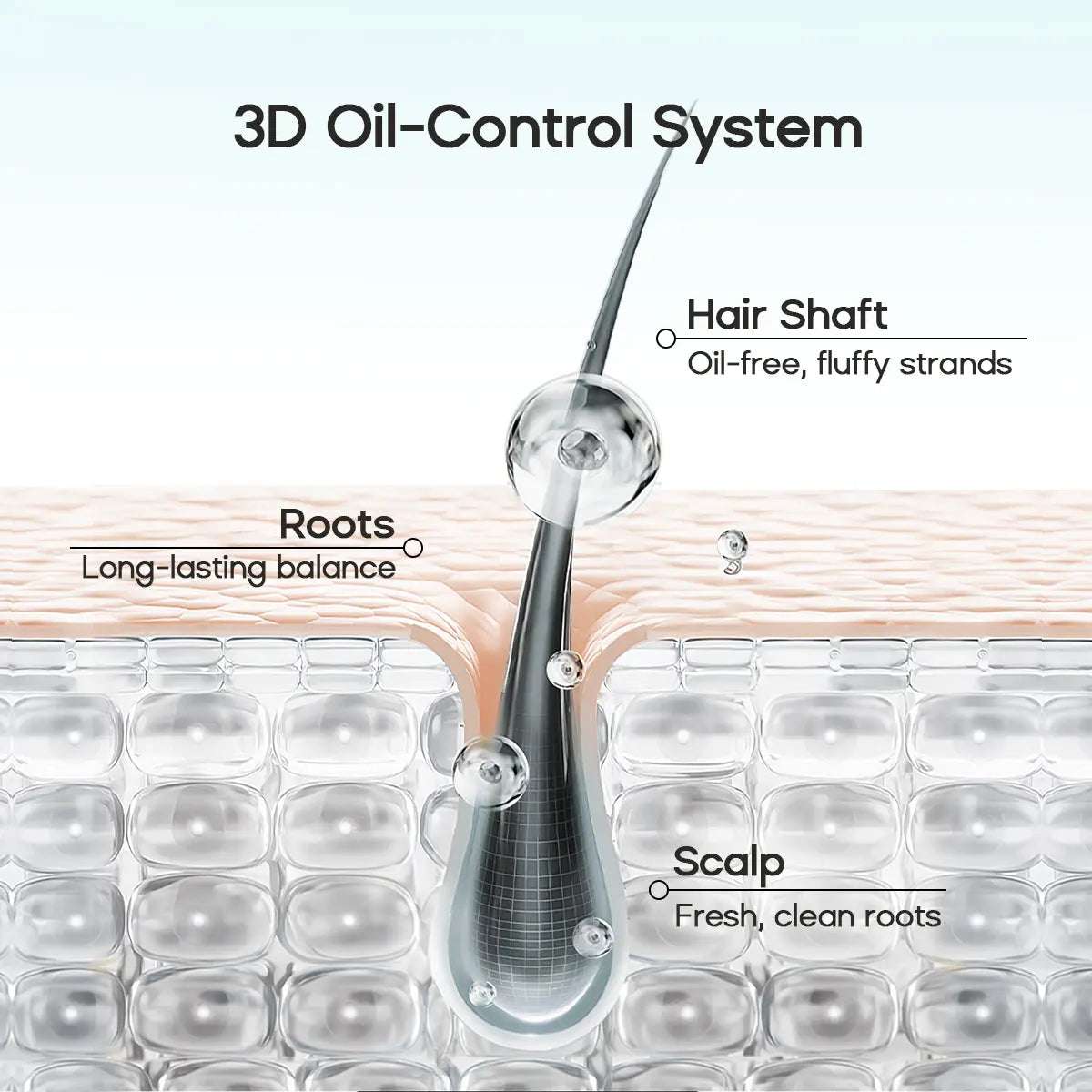 Leave-in Dry Shampoo Gel with Hyaluronic Acid for Oil Control