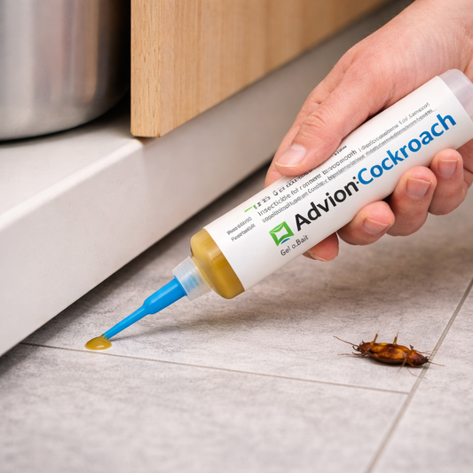 Cockroach Gel Syringe