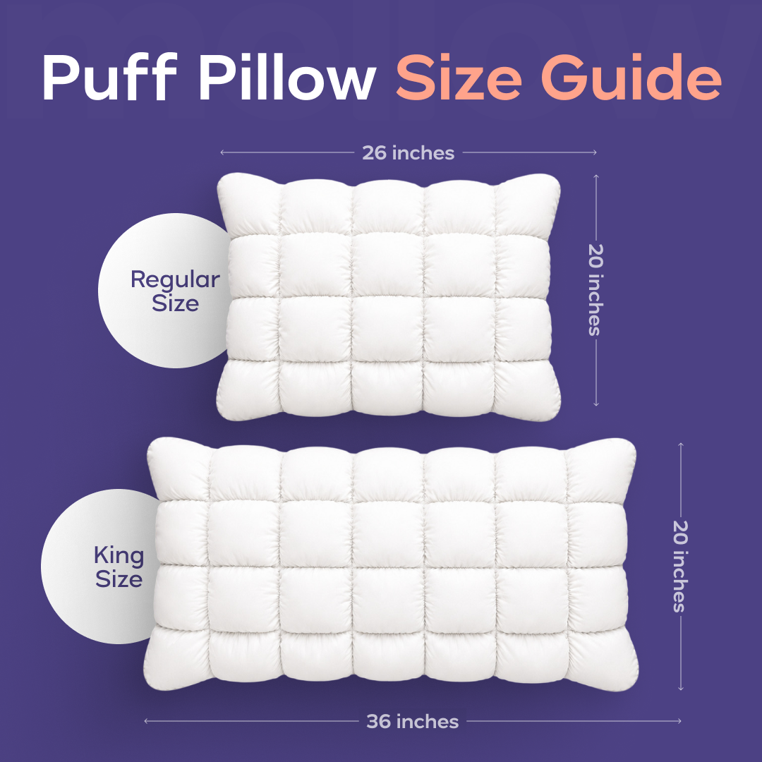 Cloud Comforter Set with 2 Puff Pillows