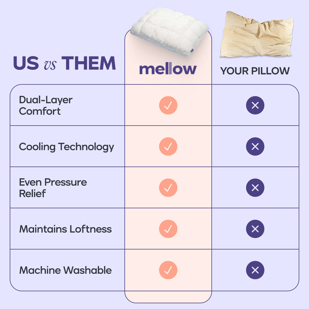 Cloud Comforter Set with 2 Puff Pillows