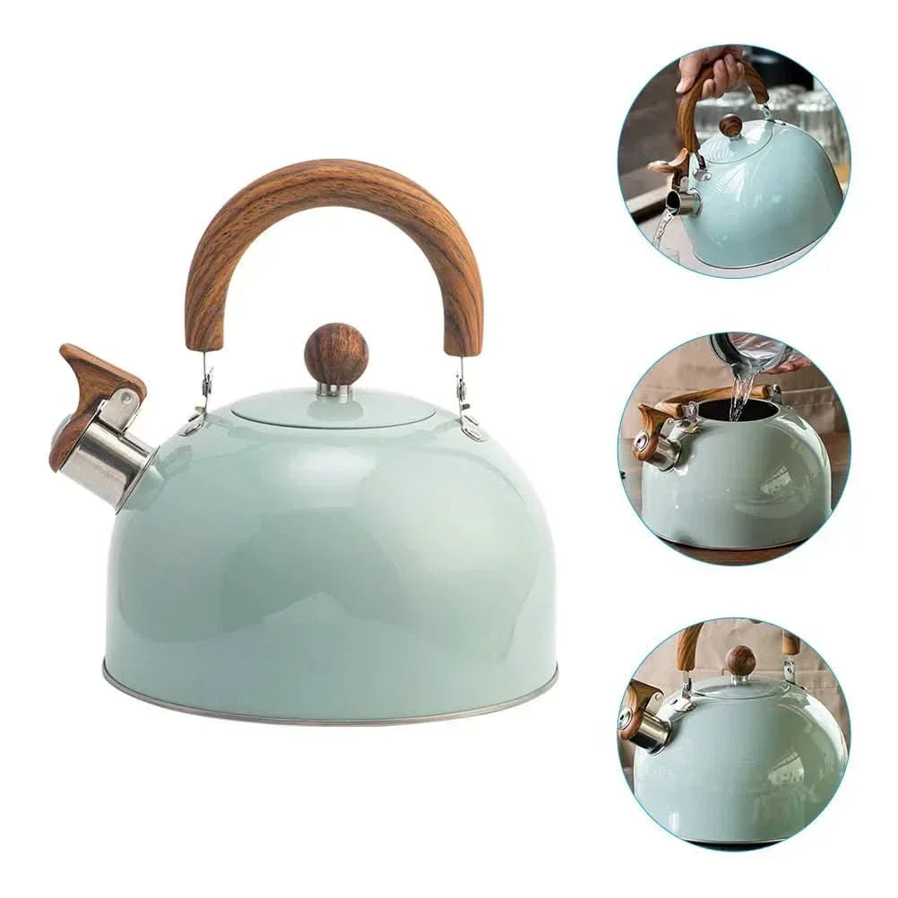 BOILVIA – 3L Whistling Stainless Kettle with Comfort Grip Handle