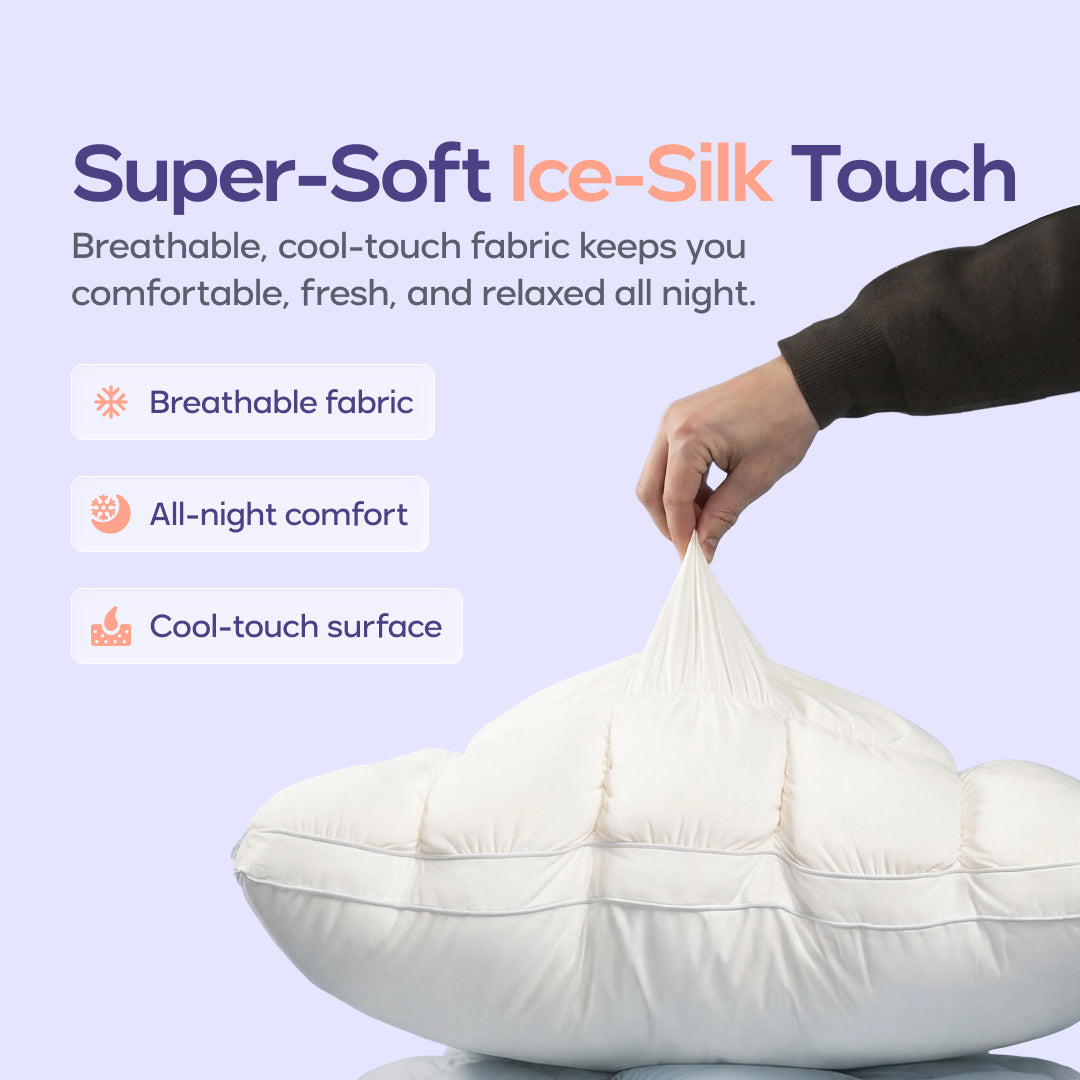 Cloud Comforter Set with 2 Puff Pillows