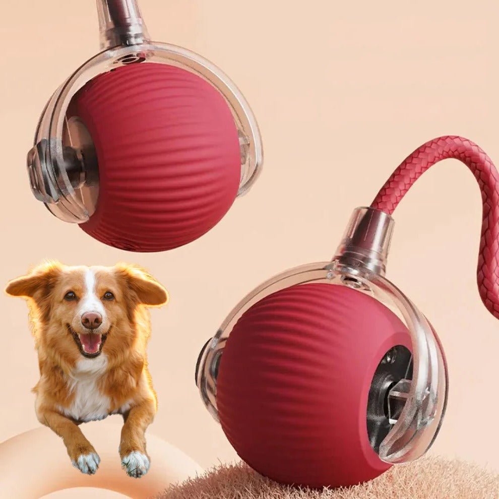 Active Rolling Ball with Tail for Dogs