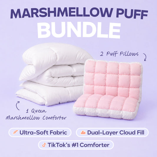 Cloud Comforter Set with 2 Puff Pillows